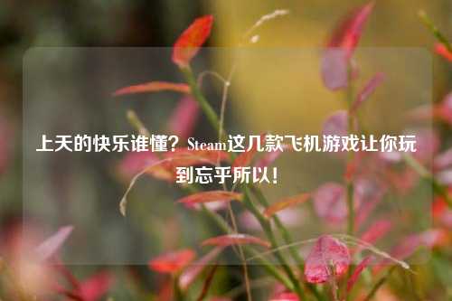 上天的快乐谁懂?Steam这几款飞机游戏让你玩到忘乎所以!