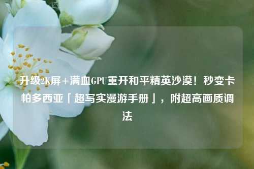 升级2K屏+满血GPU重开和平精英沙漠!秒变卡帕多西亚「超写实漫游手册」,附超高画质调法