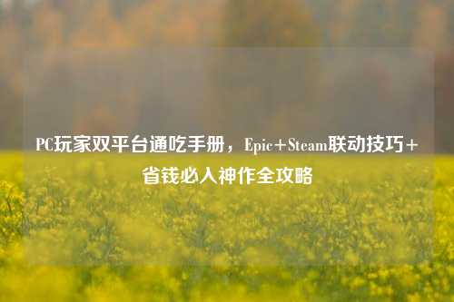 PC玩家双平台通吃手册,Epic+Steam联动技巧+省钱必入神作全攻略