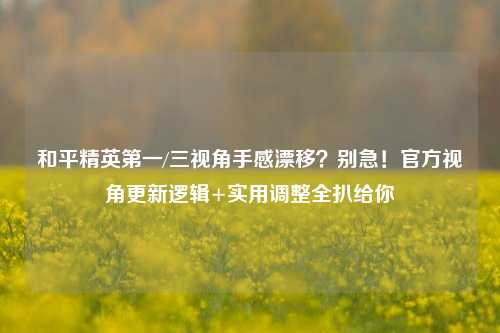 和平精英第一/三视角手感漂移？别急！官方视角更新逻辑+实用调整全扒给你