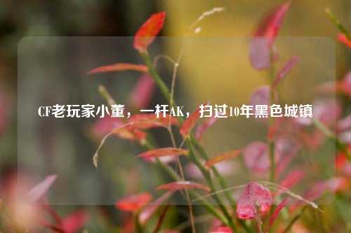 CF老玩家小董,一杆AK,扫过10年黑色城镇