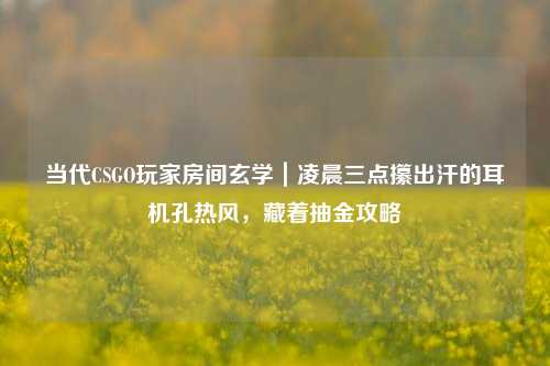 当代CSGO玩家房间玄学|凌晨三点攥出汗的耳机孔热风,藏着抽金攻略
