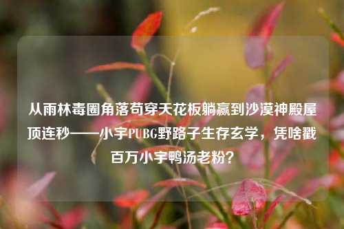 从雨林毒圈角落苟穿天花板躺赢到沙漠神殿屋顶连秒——小宇PUBG野路子生存玄学,凭啥戳百万小宇鸭汤老粉?