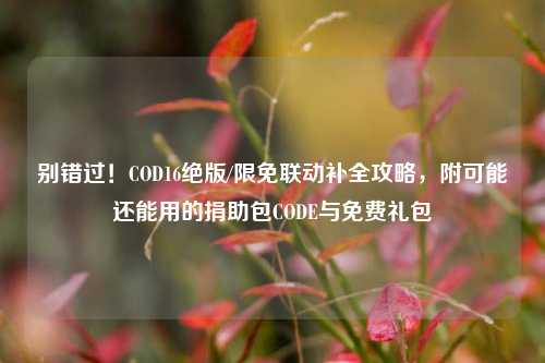 别错过！COD16绝版/限免联动补全攻略，附可能还能用的捐助包CODE与免费礼包