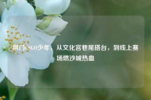 荆门CSGO少年,从文化宫巷尾搭台,到线上赛场燃沙城热血