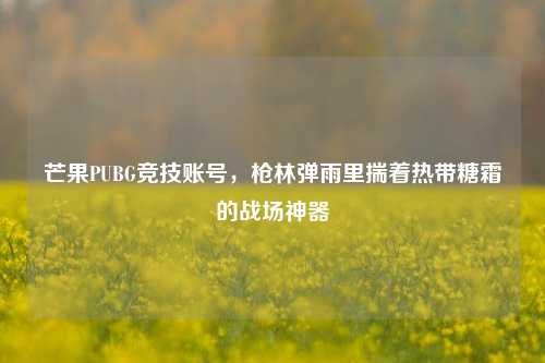 芒果PUBG竞技账号,枪林弹雨里揣着热带糖霜的战场神器