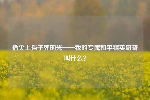 指尖上挡子弹的光——我的专属和平精英哥哥叫什么?