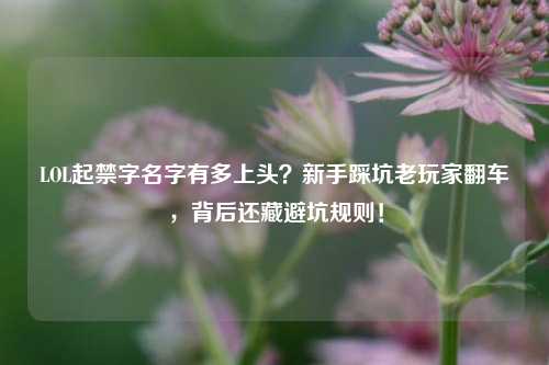 LOL起禁字名字有多上头?新手踩坑老玩家翻车,背后还藏避坑规则!