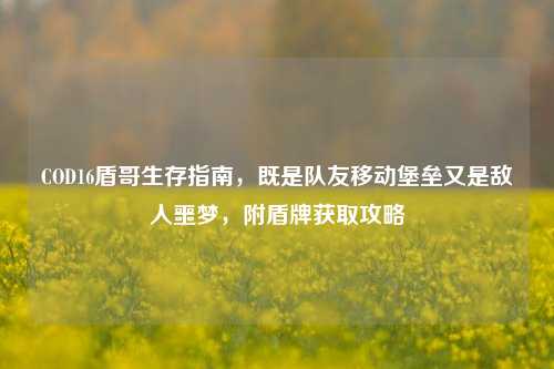 COD16盾哥生存指南，既是队友移动堡垒又是敌人噩梦，附盾牌获取攻略