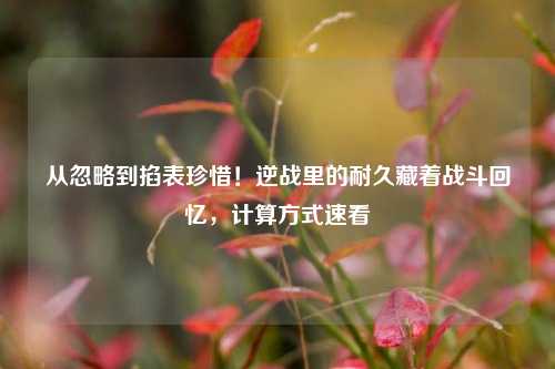 从忽略到掐表珍惜!逆战里的耐久藏着战斗回忆,计算方式速看