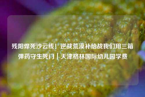残阳焊死沙云线!逆战荒漠补给战我们用三箱弹药守生死门|天津格林国际幼儿园学费