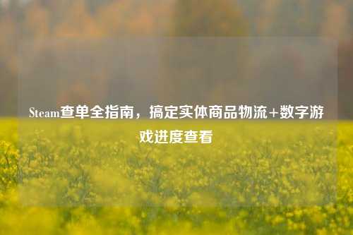 Steam查单全指南,搞定实体商品物流+数字游戏进度查看