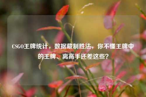 CSGO王牌统计,数据藏制胜法,你不懂王牌中的王牌、离高手还差这些?