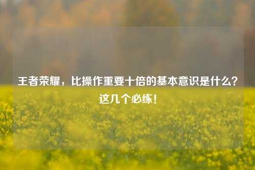 王者荣耀，比操作重要十倍的基本意识是什么？这几个必练！