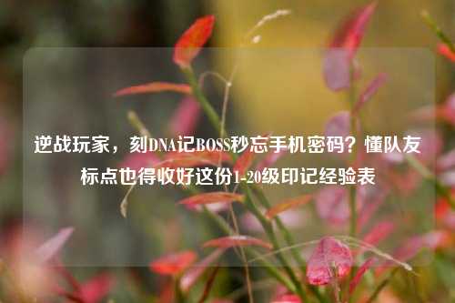 逆战玩家,刻DNA记BOSS秒忘手机密码?懂队友标点也得收好这份1-20级印记经验表