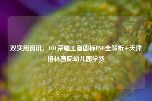 双实用资讯,LOL荣耀王者图标PNG全解析+天津格林国际幼儿园学费