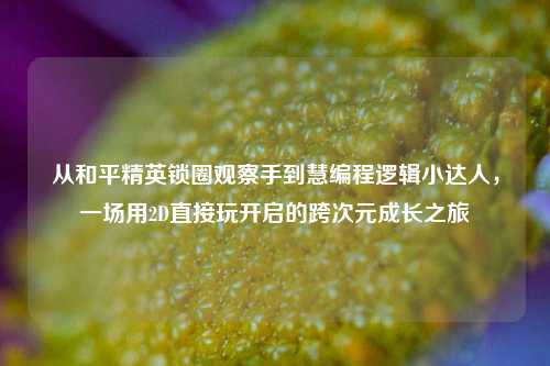 从和平精英锁圈观察手到慧编程逻辑小达人,一场用2D直接玩开启的跨次元成长之旅