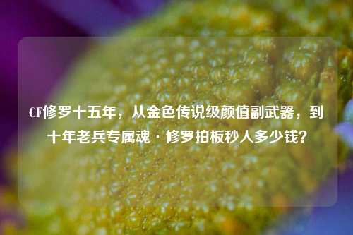 CF修罗十五年,从金色传说级颜值副武器,到十年老兵专属魂·修罗拍板秒人多少钱?