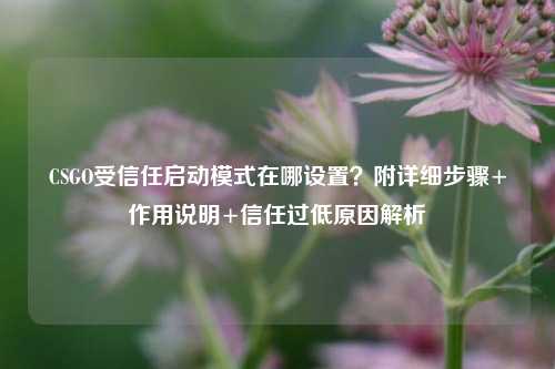 CSGO受信任启动模式在哪设置？附详细步骤+作用说明+信任过低原因解析