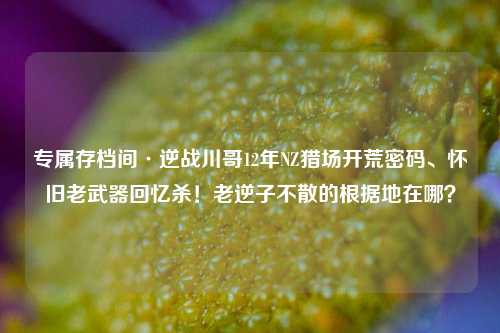专属存档间·逆战川哥12年NZ猎场开荒密码、怀旧老武器回忆杀!老逆子不散的根据地在哪?