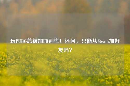 玩PUBG总被加FB别慌!还问,只能从Steam加好友吗?