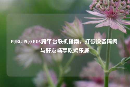 PUBG PC/XBOX跨平台联机指南,打破设备隔阂 与好友畅享吃鸡乐趣