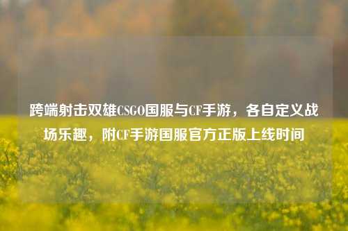 跨端射击双雄CSGO国服与CF手游,各自定义战场乐趣,附CF手游国服官方正版上线时间