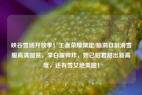 峡谷雪场开放季!王者荣耀限定/脑洞自制滑雪服高清图赏,李白曜帅炸,妲己昭君甜出新高度,还有雪女绝美图!