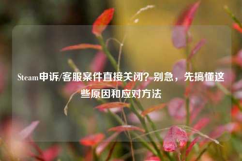 Steam申诉/客服案件直接关闭？别急，先搞懂这些原因和应对方法