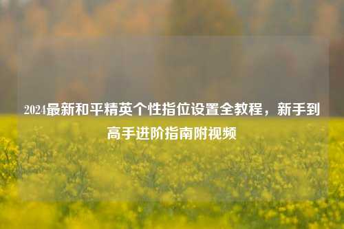2024最新和平精英个性指位设置全教程,新手到高手进阶指南附视频