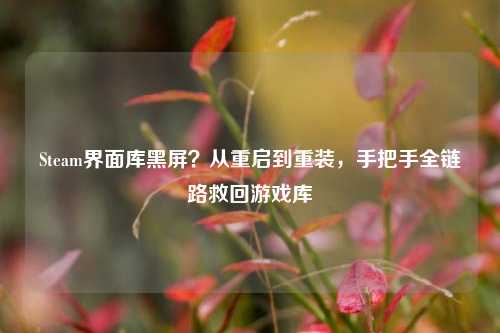 Steam界面库黑屏？从重启到重装，手把手全链路救回游戏库