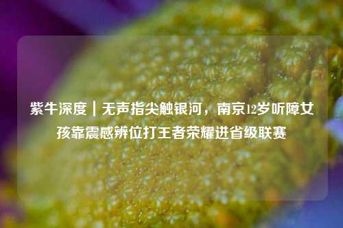 紫牛深度|无声指尖触银河,南京12岁听障女孩靠震感辨位打王者荣耀进省级联赛