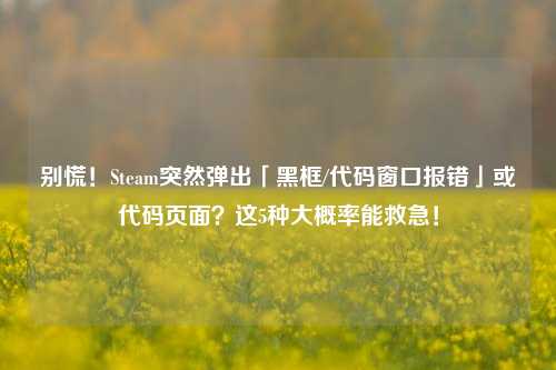 别慌!Steam突然弹出「黑框/代码窗口报错」或代码页面?这5种大概率能救急!