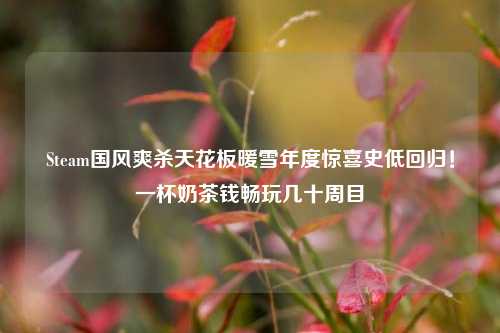 Steam国风爽杀天花板暖雪年度惊喜史低回归!一杯奶茶钱畅玩几十周目