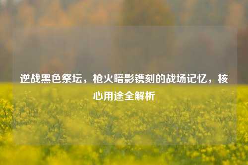 逆战黑色祭坛,枪火暗影镌刻的战场记忆,核心用途全解析