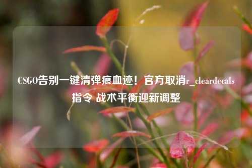 CSGO告别一键清弹痕血迹!官方取消r_cleardecals指令 战术平衡迎新调整