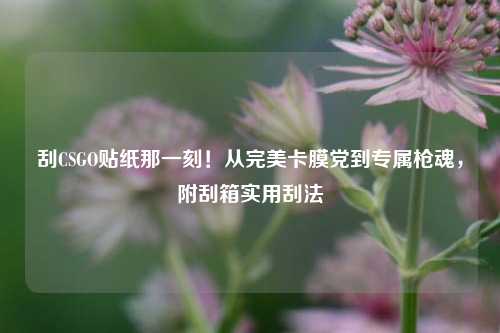 刮CSGO贴纸那一刻!从完美卡膜党到专属枪魂,附刮箱实用刮法
