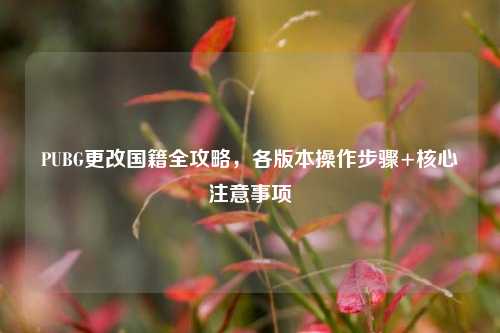 PUBG更改国籍全攻略,各版本操作步骤+核心注意事项