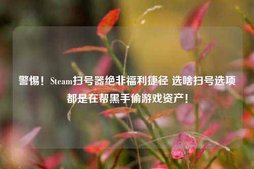 警惕!Steam扫号器绝非福利捷径 选啥扫号选项都是在帮黑手偷游戏资产!