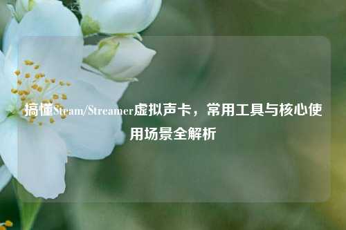 搞懂Steam/Streamer虚拟声卡,常用工具与核心使用场景全解析