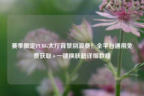 赛季限定PUBG大厅背景别浪费!全平台通用免费获取+一键换肤超详细教程