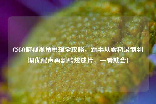 CSGO俯视视角剪辑全攻略,新手从素材录制到调优配声再到酷炫成片,一看就会!