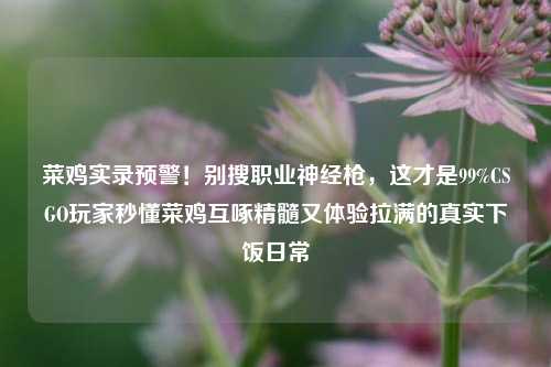 菜鸡实录预警！别搜职业神经枪，这才是99%CSGO玩家秒懂菜鸡互啄精髓又体验拉满的真实下饭日常