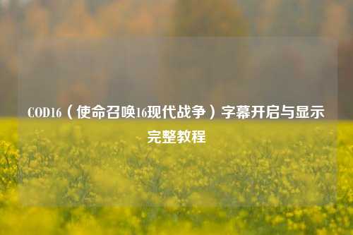 COD16（使命召唤16现代战争）字幕开启与显示完整教程