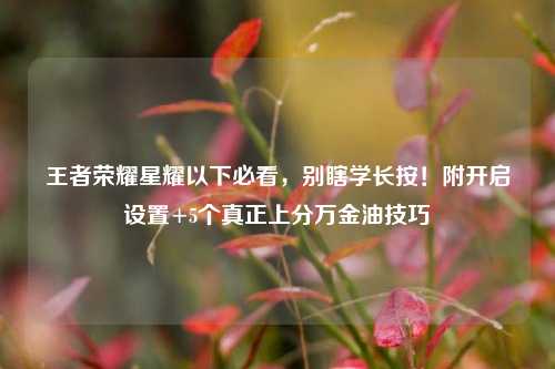 王者荣耀星耀以下必看,别瞎学长按!附开启设置+5个真正上分万金油技巧