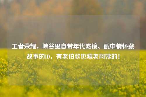 王者荣耀,峡谷里自带年代滤镜、戳中情怀藏故事的ID,有老伯款也藏老阿姨的!