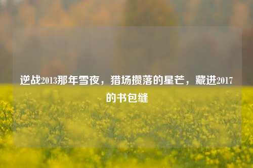 逆战2013那年雪夜，猎场攒落的星芒，藏进2017的书包缝