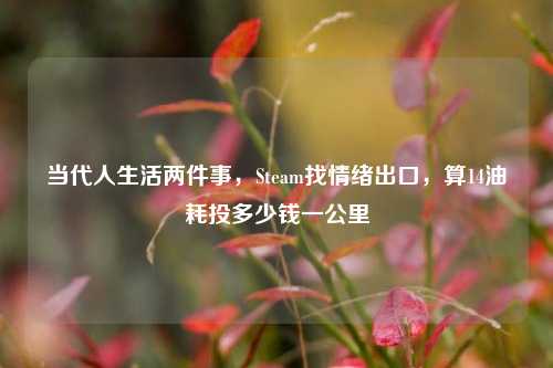 当代人生活两件事，Steam找情绪出口，算14油耗投多少钱一公里