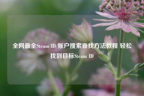 全网最全Steam ID/账户搜索查找方法教程 轻松找到目标Steam ID