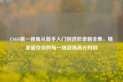 CSGO第一视角从新手入门到进阶录制全集，精准留存你的每一场战场高光时刻